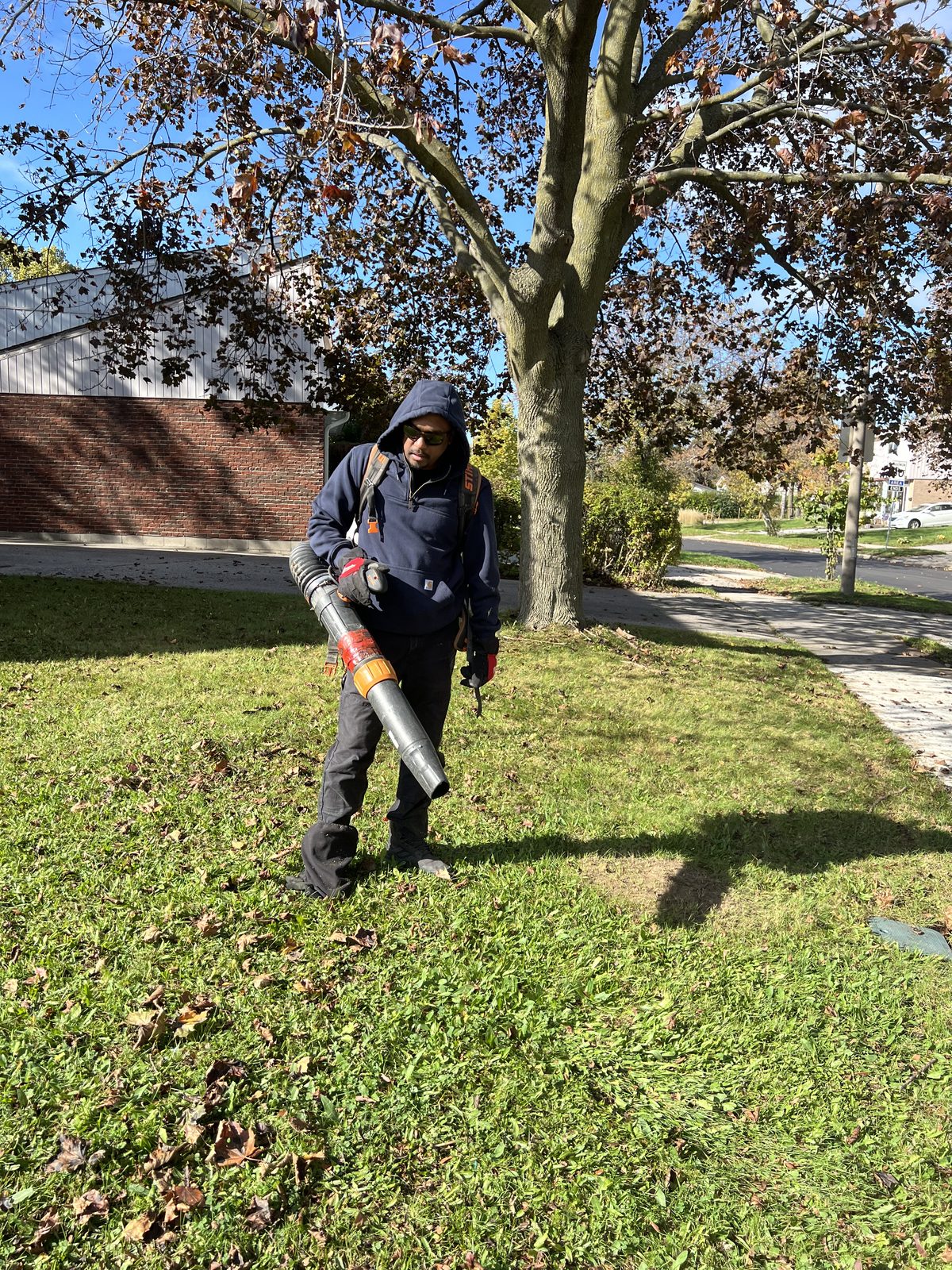 Fall leaf cleanup