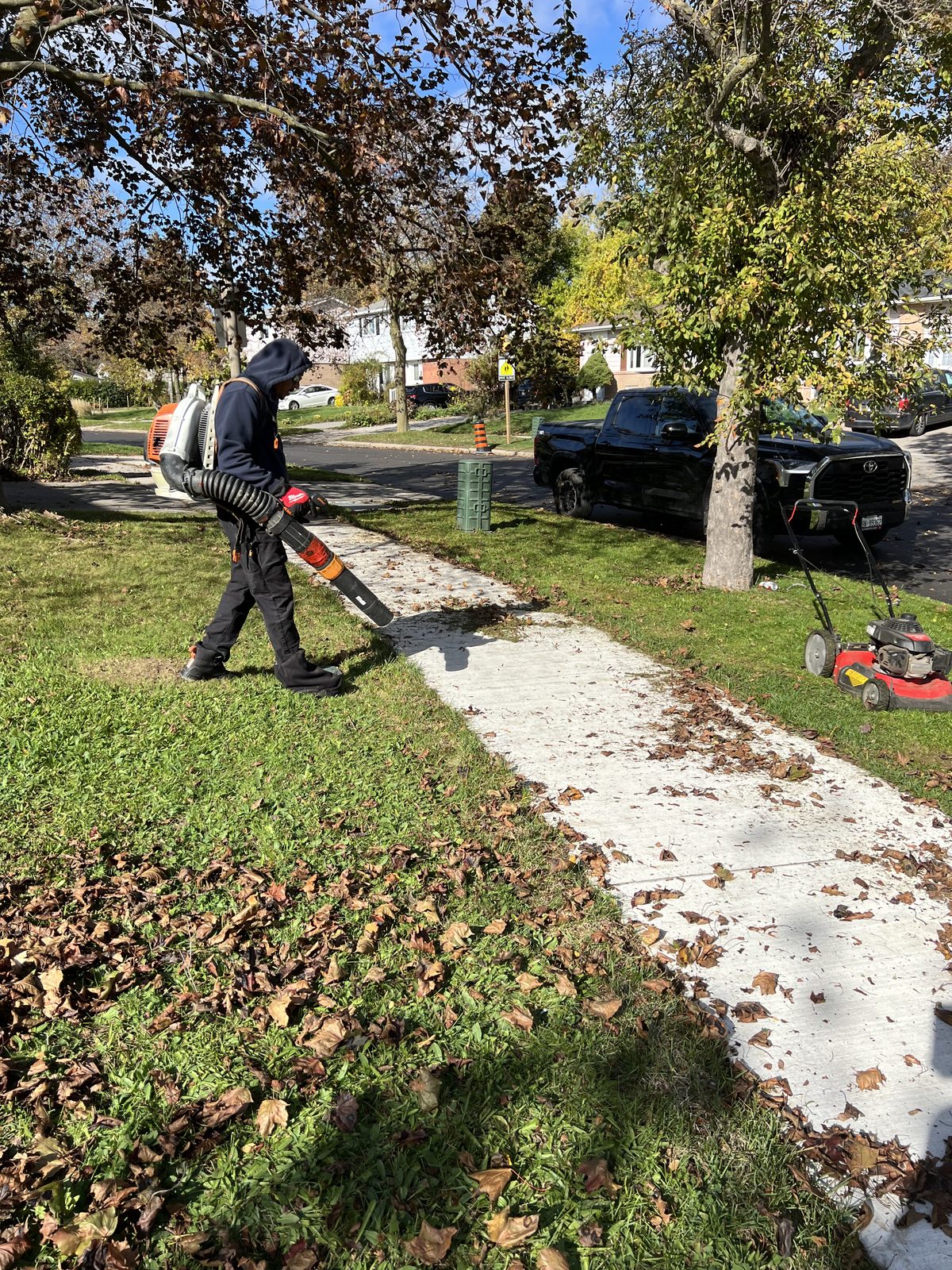 Leaf blowing & lawn care