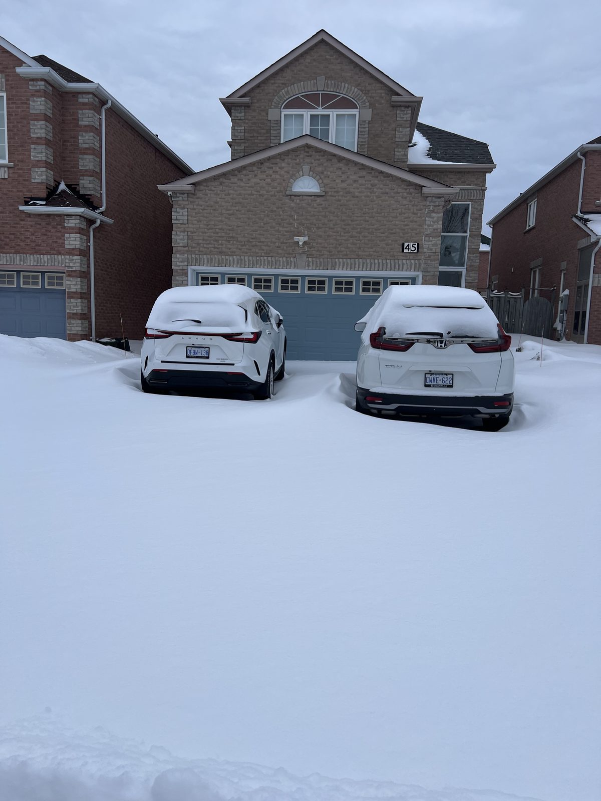 Snow-covered driveway