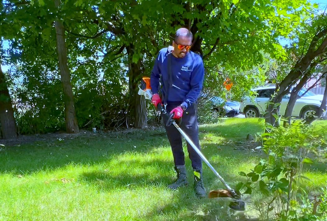 Professional grass cutting