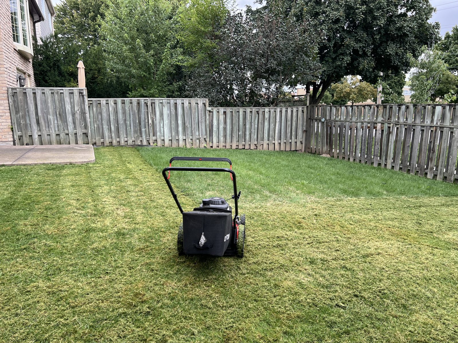 Backyard lawn mowing