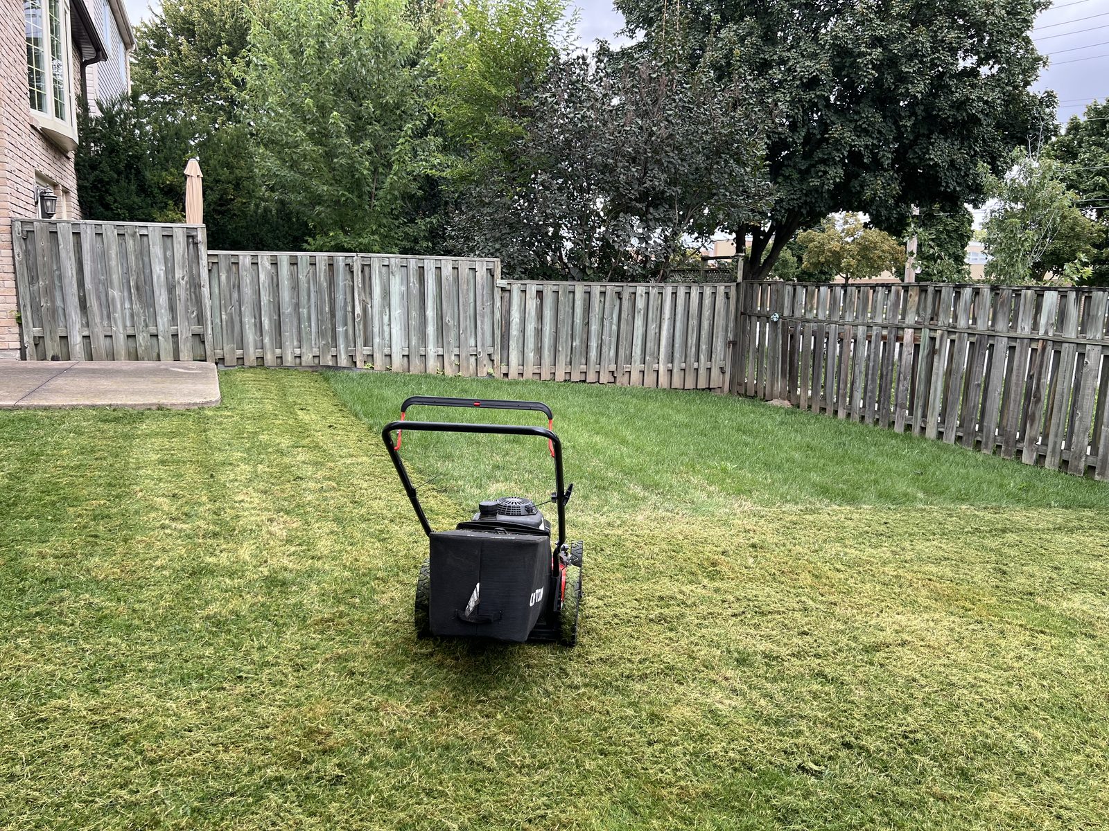 Lawn mowing in progress