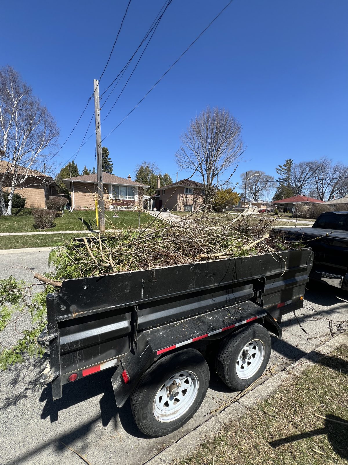 Tree debris hauling