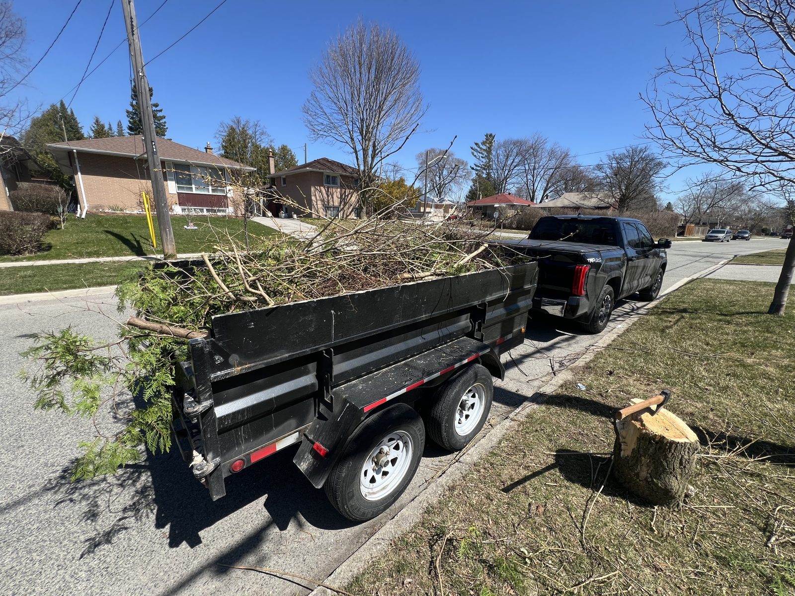Tree removal & stump work