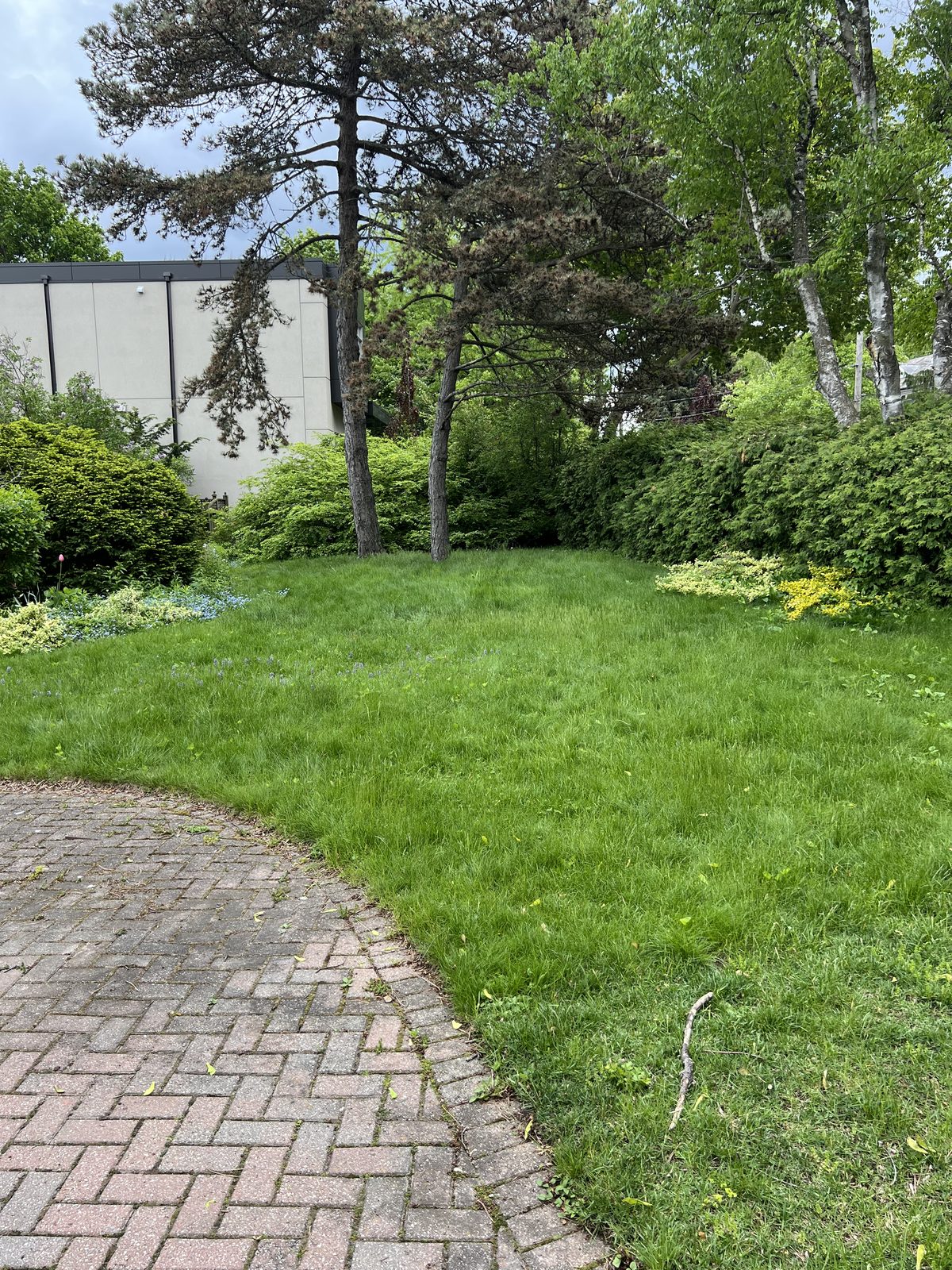 Lawn & garden maintenance