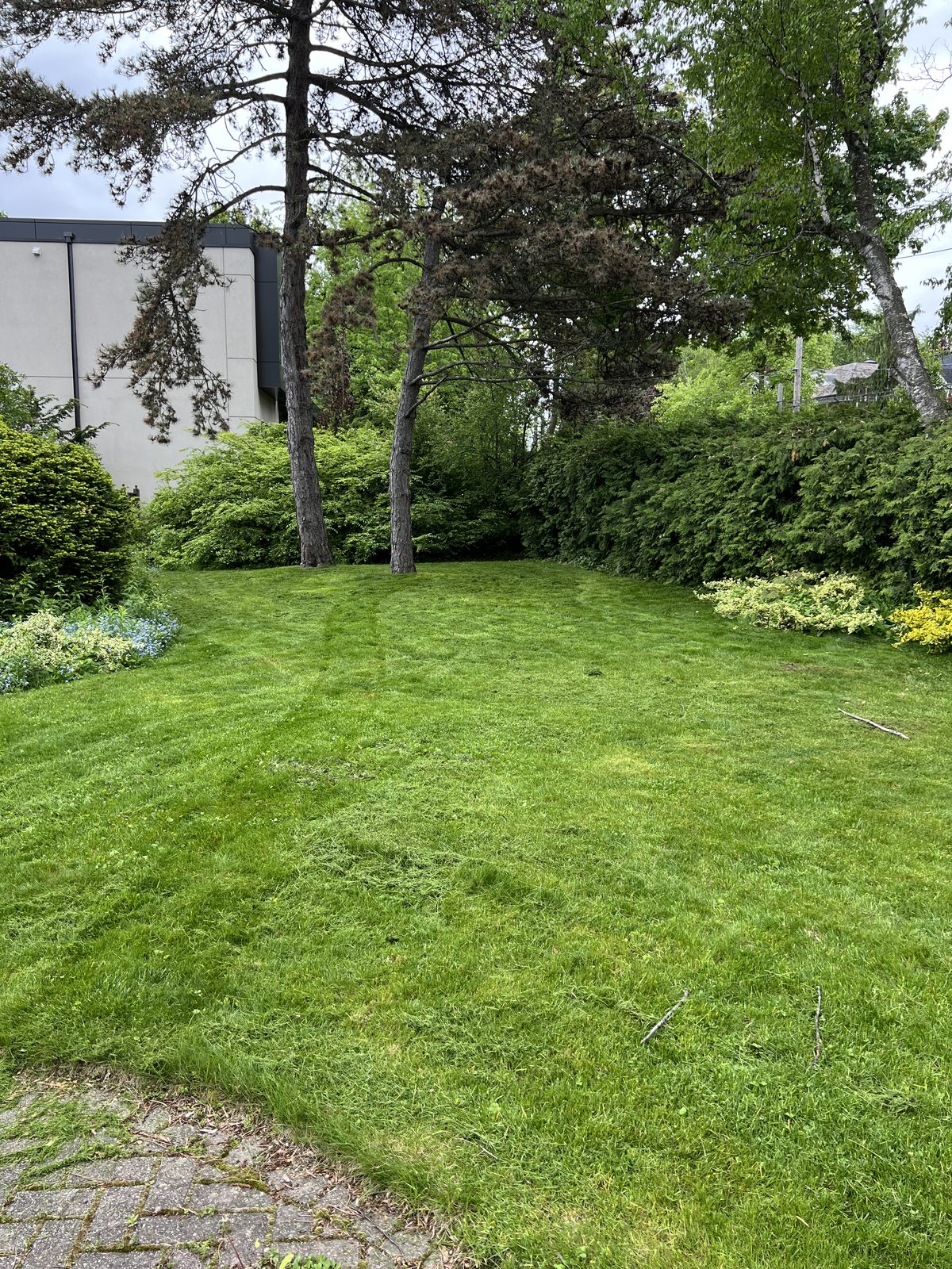 Freshly mowed lawn