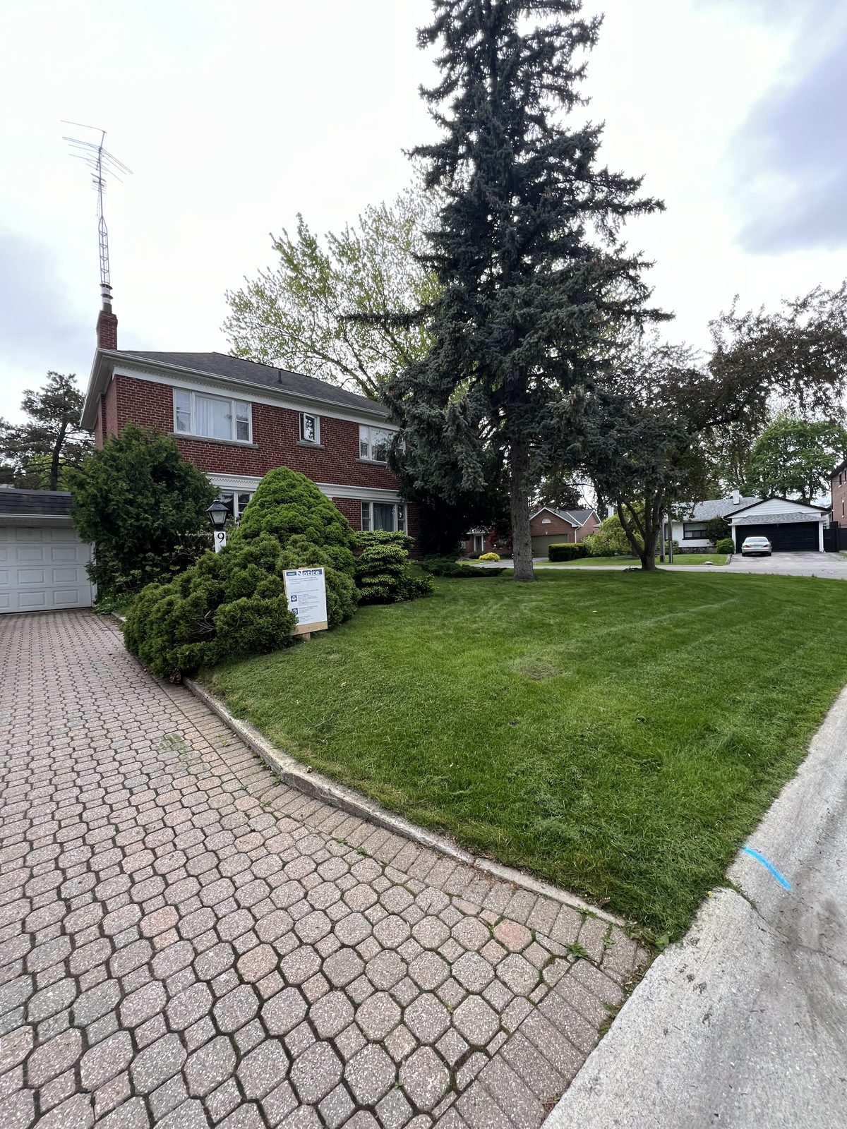 Front yard landscaping