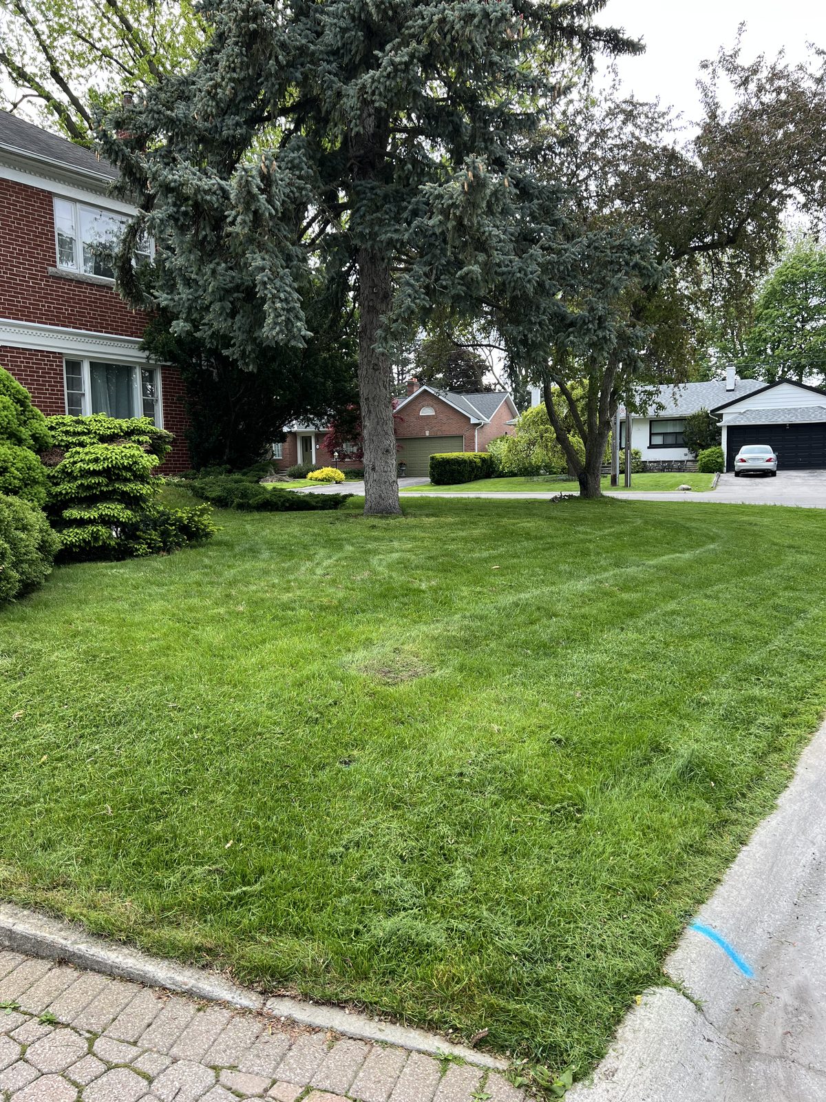 Residential lawn care
