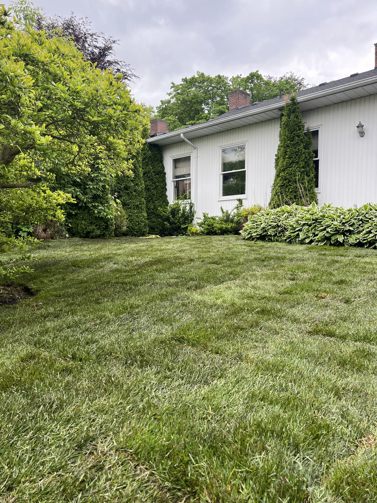 Sod & garden install