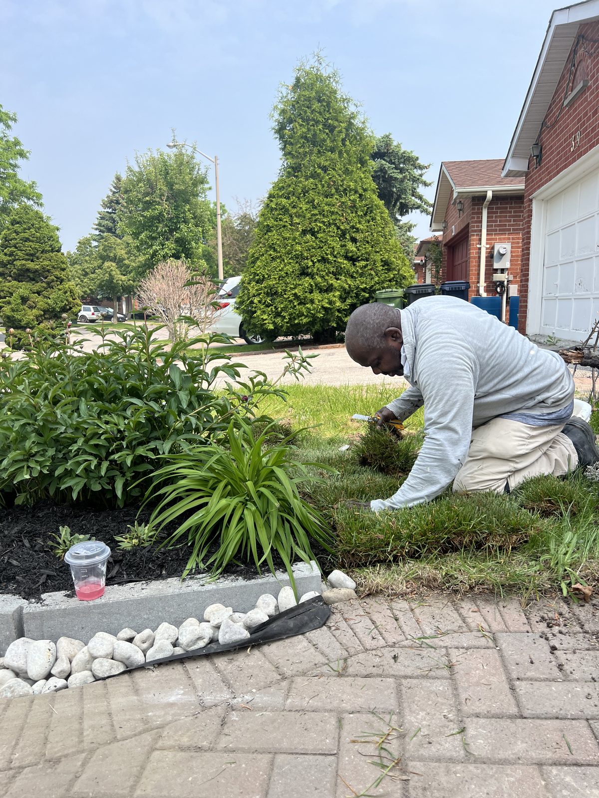 Garden bed planting