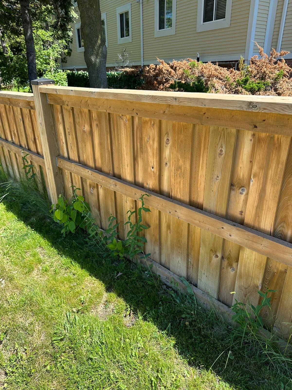 Decks, Fences & Plumbing