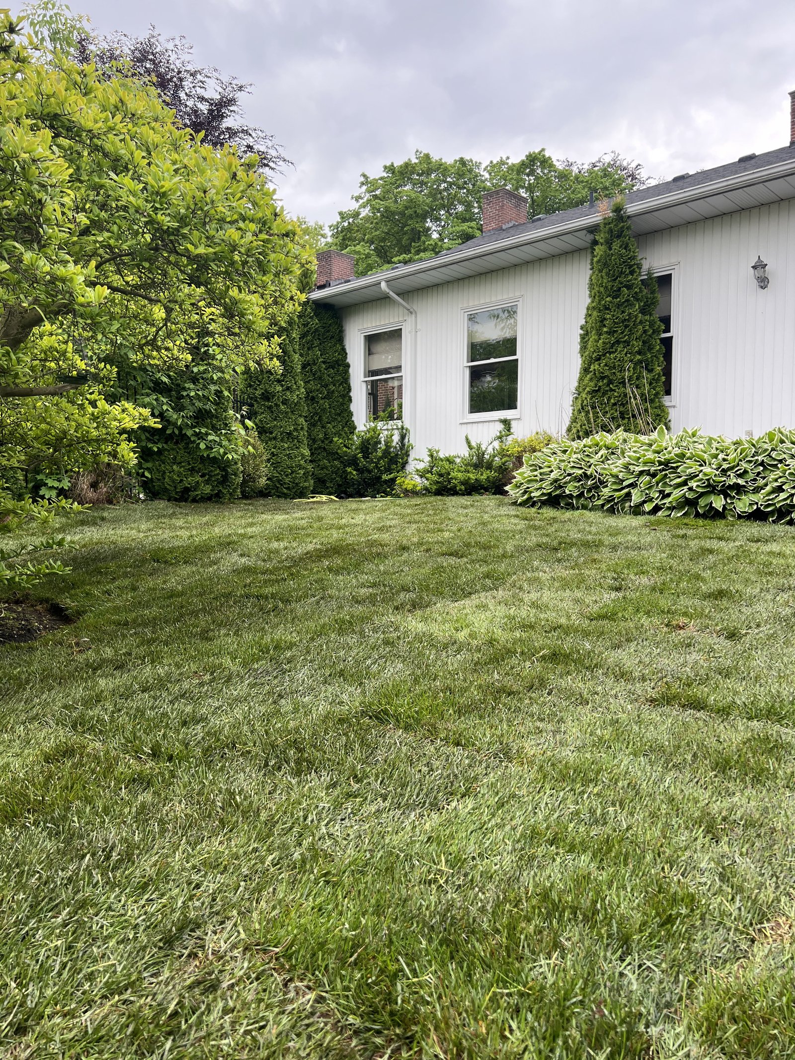 Landscaping & Interlock